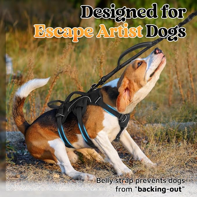 rabbitgoo Escape Proof Dog Harness for Small, No Pull with Lift Handle | No Escape, Full Soft Padded, Reflective Adjustable Vest, Leash Clip for Walking Hiking Training, Black, Small - Image 2
