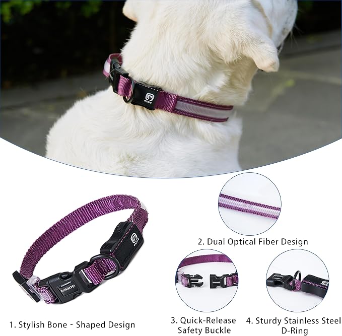 USB Rechargeable LED Dog Collar, Waterproof, Adjustable, Glowing, for Medium Dogs, Night Walking, Camping, Jogging, Purple, M (Neck 15-24", Width 1") - Image 4