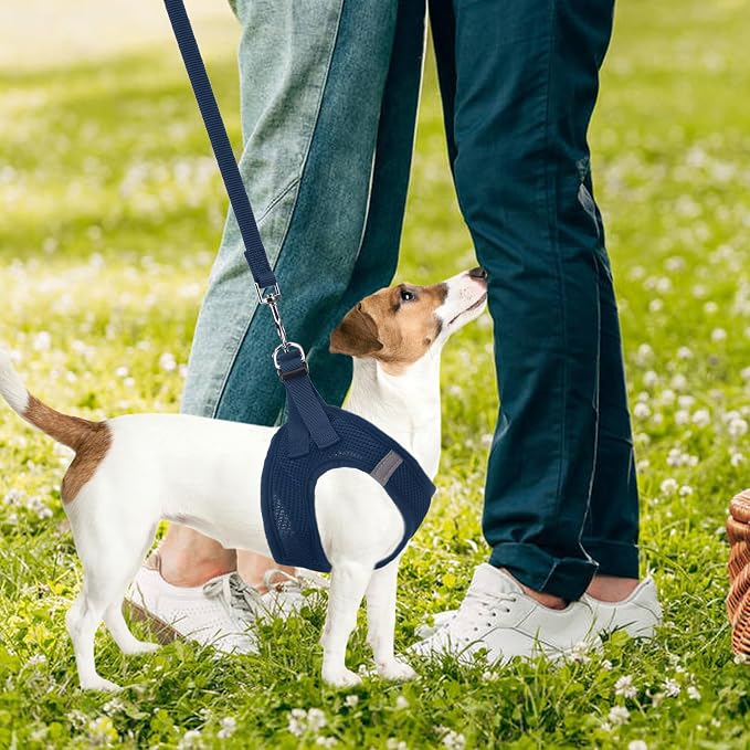 PUPTECK Dog Harness, Collar and Leash Set No Pull for Small Medium Sized | Soft Mesh Puppy Step-in Escape Proof Reflective No Choke Pet Cat Adjustable Walking Vest - Image 7