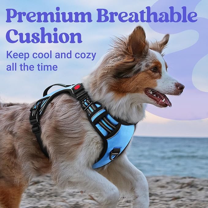 rabbitgoo Large Dog Harness, Easy Wear with 3 Buckles and Lift Handle | No Pull with Front Clip for Walking, Adjustable Soft Padded, Reflective, Easy Control, Light Blue, X-Large - Image 7