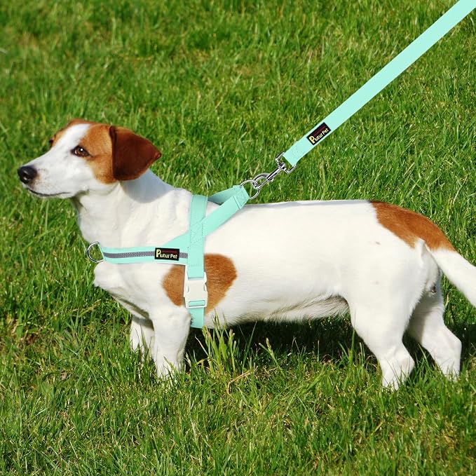 Plutus Pet Cotton Dog Harness and Leash Set, Reflective and Soft Padded, Quick Fit Vest Harness, for Small, Medium and Large Dogs, Light Cyan, XXS - Image 6