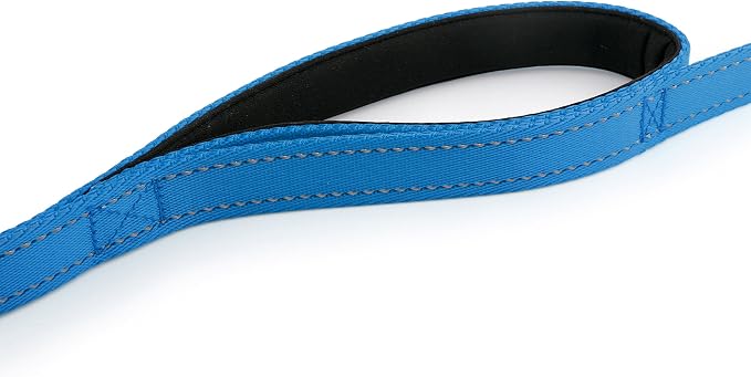 Dog Leash 8ft Long - Blue - Traffic Padded Two Handle - Heavy Duty - Double Handles Lead for Control Safety Training - Leashes for Large Dogs or Medium Dogs - Dual Handles Leads - Image 5