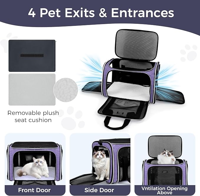 BAGLHER Pet Travel Carrier, Cat Carriers Dog Carrier for Small Medium Cats Dogs Puppies, Airline Approved Small Dog Carrier Soft Sided, Collapsible Puppy Carrier, Purple - Image 2