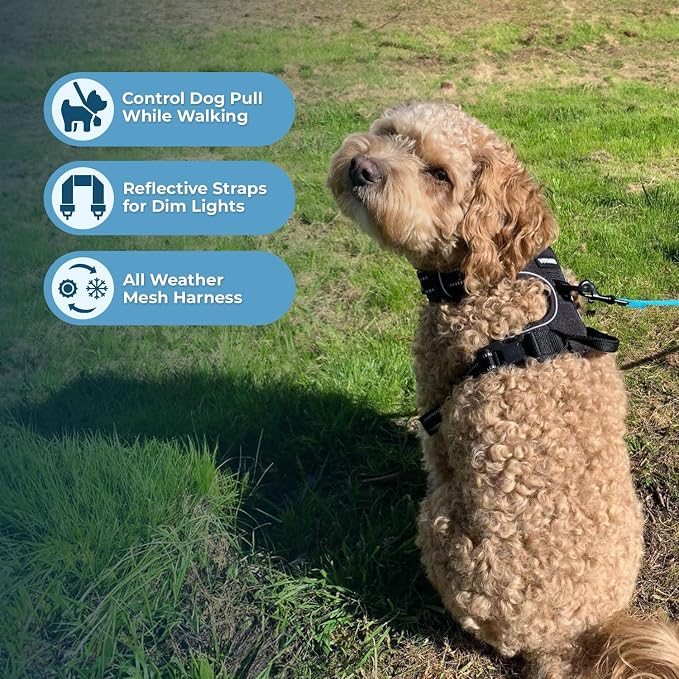 Voyager Dog Harness Dual Leash Attachment No-Pull Control Adjustable Soft but Strong Pet Harness for Medium and Large Dogs with 3M Reflective Technology, Leash Set Black Nylon, M (Chest: 20-25") - Image 2