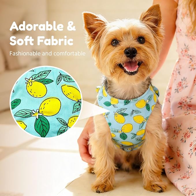 BAEJMJK Dog Harness and Leash Set with Bow Knot No Pull Pet Daisy Floral Harness with D-Ring Soft Mesh Dog Harness Vest Set Escape Proof Princess Puppy Harness for Small Girl Dogs Cats（Green M） - Image 3