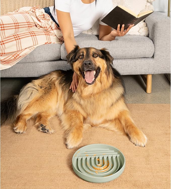 Should We Go? Slow Feeder Dog Bowls - Large Size Silicone Slow Eating Dog Bowl for Puppies & Dogs with Suction Cup -Dishwasher-Safe, Lick Mat Design, Reduces Gulping,for All Breeds,9.5”x1.5”- Sage - Image 6