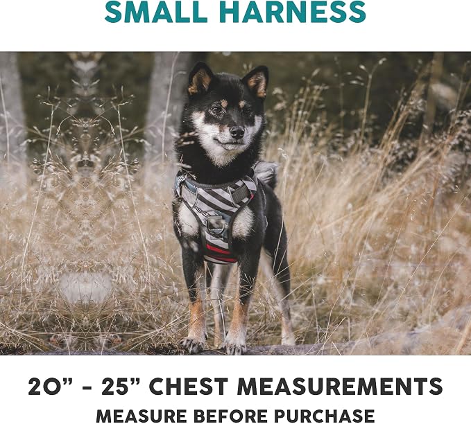 Embark No Pull Dog Harness, Reflective Adjustable Training Vest, No Choke | Adjustable straps fit all dog breeds with sturdy hooks; 360° reflective trim, soft padded Harness Design for All Dogs - Image 2