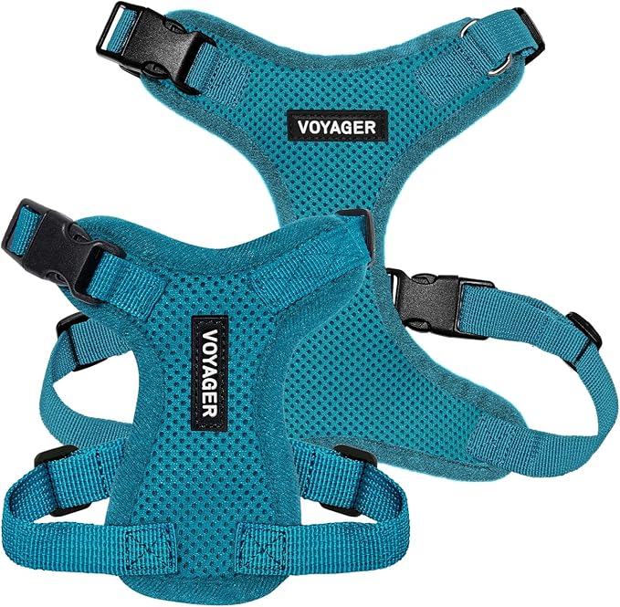 Voyager Step-in Lock Dog Harness - Turquoise, Large | 20 - 25" in Chest, Adjustable, Breathable Air Mesh, Lightweight for Daily Walks, Strong Clips, Heavy Duty D-Ring - Image 6