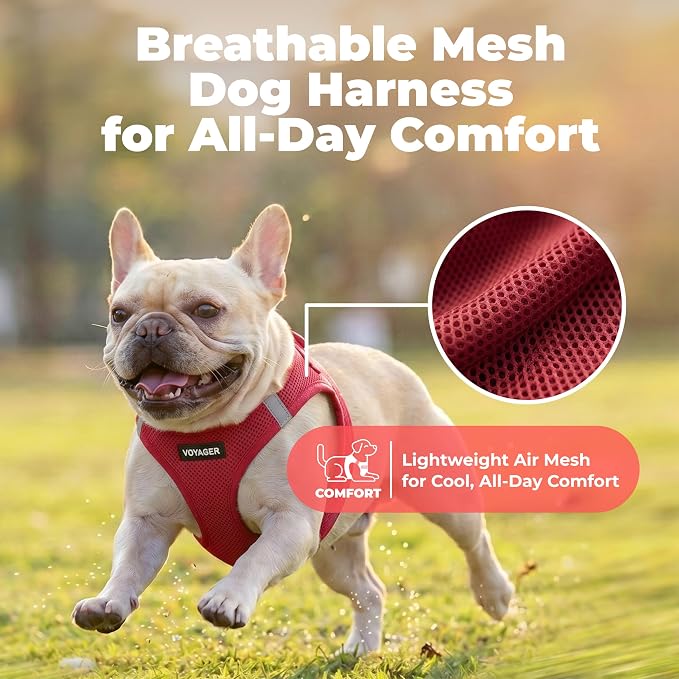 Voyager Step-in Air Dog Vest Harness - Burgundy, Small | 14.5-16" in Chest, Reflective Bands, All Weather Breathable Air Mesh, Cats Compatible, Lightweight, Fast Drying - Image 5