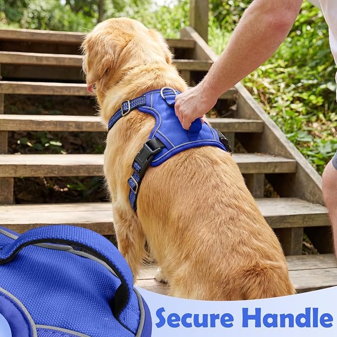 Dog Harness No Pull, Adjustable Pet Vest Harness, Super Soft Material with Vertical Handle Easy Control, Reflective Night Walking, 2 Leash Clips for Medium Sized Dogs, Blue, M - Image 5