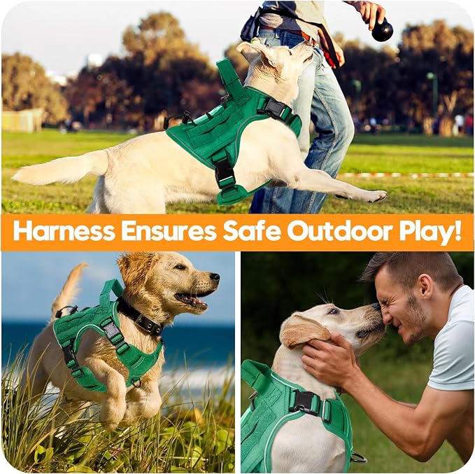 Heavy-Duty Tactical Dog Harness for Large Dogs, No Pull Adjustable Reflective Pet Vest with Molle System, K9 Military-Grade Control for Service Training, Outdoor & 10+ Breeds, Turquoise, Small - Image 6