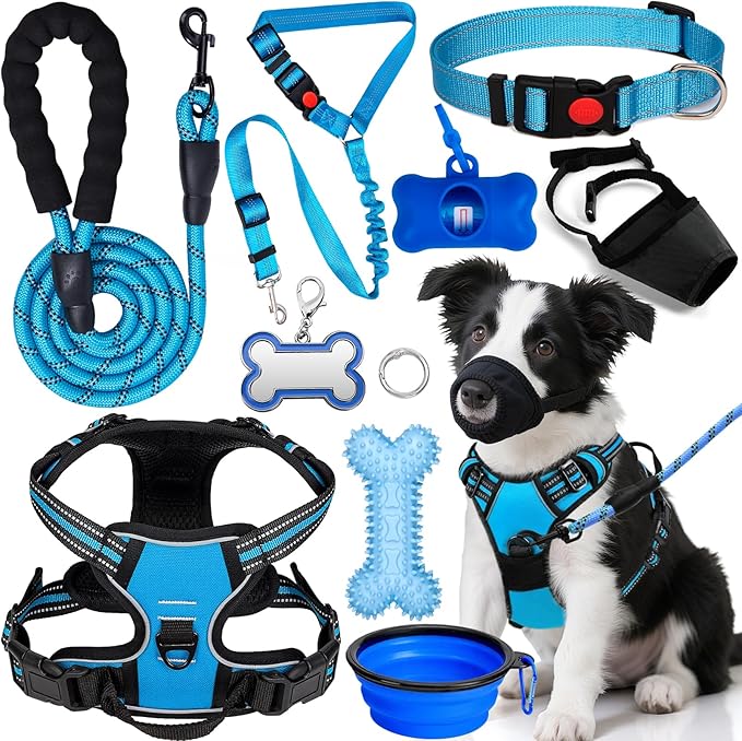 No Pull Dog Harness Adjustable Collar & Leash Set - Dog Halter Harnesses Collapsible Bowls & Poop Bag Dispenser Muzzle ID Tags Toys Fits Small Medium Large Dogs (Blue-XL) by Unknown