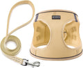 Dog Harness with Leash Set, Step-in Adjustable Puppy Pet Vest, Beige L | Lightweight Breathable Air Mesh, Night Safety Reflective, No Pull Puppy Vest Harnesses for Small Medium Large Dogs, Cats by BOOMIBOO