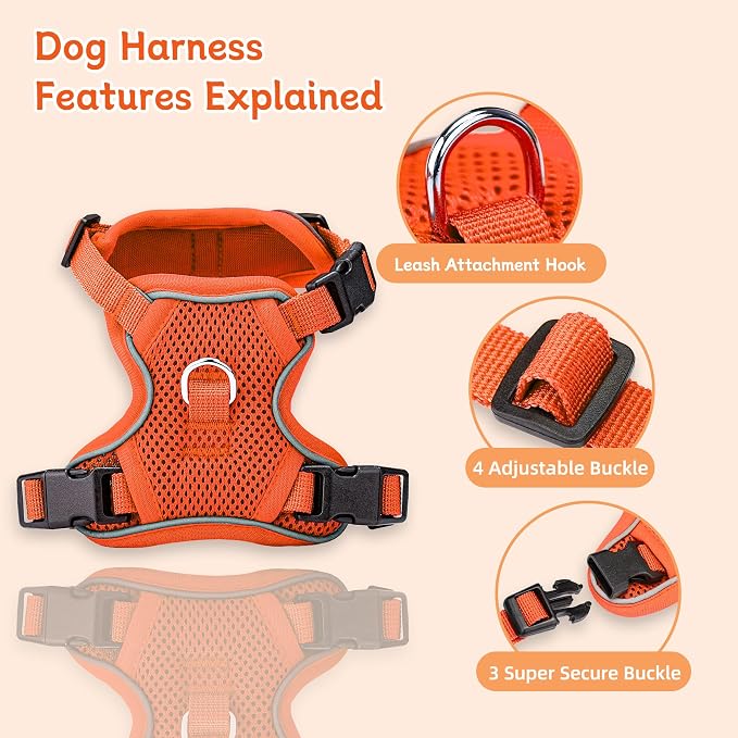 Small Dog Harness and Leash Set, Adjustable Small Sized Pet Vest | Reflective Soft Breathable Mesh, 3 Buckles, Adjustable Neck and Chest, Easy on and Comfortable Secure Walking, Orange, S - Image 2