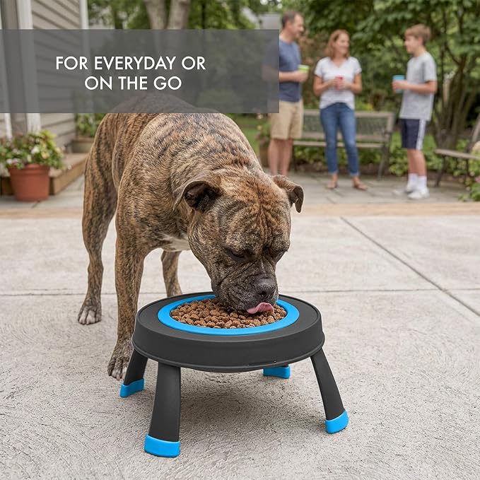 Dexas Pets Elevated Pet Feeder, Large, 4 Cup Capacity, Pro Blue, Raised Pet Food and Water Bowl - Image 7