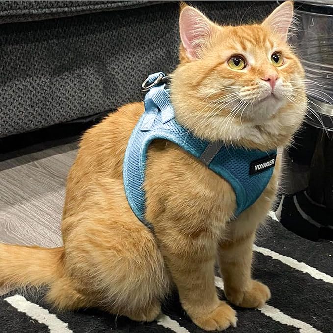 Voyager Step-in Air Cat Harness & Leash Set - Baby Blue, S | 14 - 16" in Chest, Reflective Bands, All Weather Breathable Air Mesh, Cats Compatible, Fast Drying - Image 7