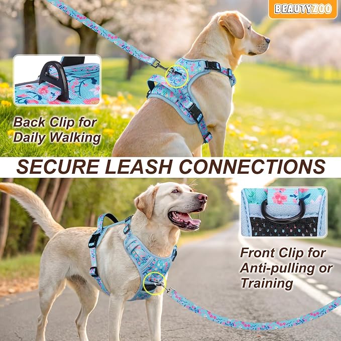 BEAUTYZOO No Pull Dog Harness and Leash Set, Step in Puppy Pet Vest, XLarge | Reflective with Handle, Adjustable Soft Padded, Easy Control for Walking, No Choke Escape Proof, Lightweight, Blue - Image 4