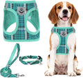 PUPTECK Dog Harness, Collar and Leash Set No Pull for Small Medium Sized | Plaid Puppy Step-in Escape Proof Reflective No Choke Pet Cat Adjustable Walking Vest by PUPTECK