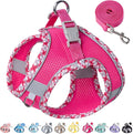 Petank Dog Harness for Small Medium Dogs No Pull, Puppy Harness and Leash Set for Walking, Running, Training, Small Dog Harness, Medium Dog Harness (Rose Red, XS) by Petank