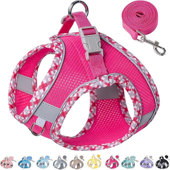 Petank Dog Harness for Small Medium Dogs No Pull, Puppy Harness and Leash Set for Walking, Running, Training, Small Dog Harness, Medium Dog Harness (Rose Red, XS) by Petank