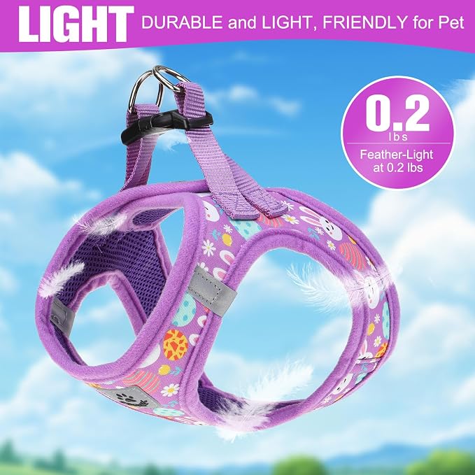 Easter Small Dog Harness - Dog Collar and Leash Set - Soft Mesh Padded Adjustable Step in Puppy Vest Harness No Pull, Reflective Escape Proof for Outdoor Walking, Bunny Egg S - Image 3