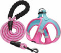 haapaw Dog Harness with Leash Set, No Pull Adjustable Reflective Step-in Puppy Harness with Thickened Padded Vest for Extra-Small/Small Medium Dogs by haapaw