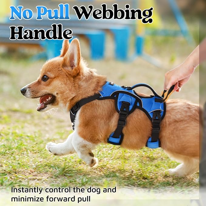 rabbitgoo Escape Proof Dog Harness for Small, No Pull with Lift Handle | No Escape, Full Soft Padded, Reflective Adjustable Vest, Leash Clip for Walking Hiking Training, Blue, Small - Image 4