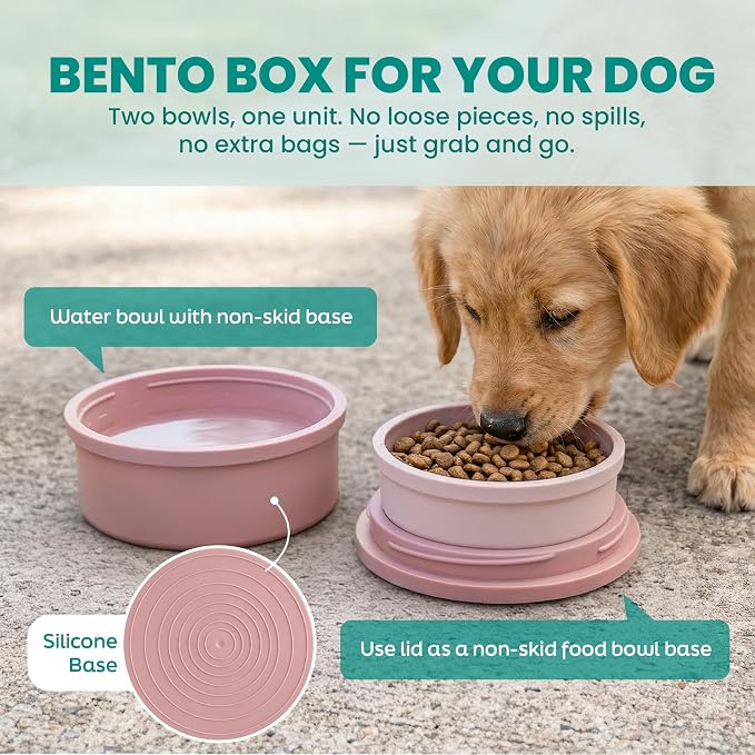 Dog Travel Bowls - Set of 2 Portable Pet Food & Water Dishes with Lid & Handle - Each Nesting Container Includes a Non-Slip Silicone Base - Microwave & Dishwasher Safe - BPA & Toxin-Free - Image 5