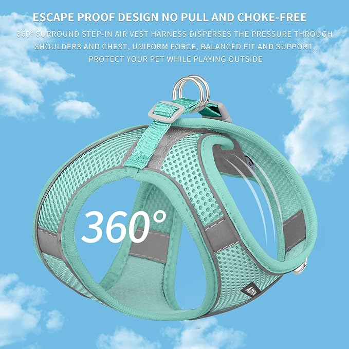 AIITLE Dog Harness and Leash Set, Step-in Puppy Vest, Pure Turquoise XXXS | Light, Soft, Breathable Air Mesh, Escape-Proof, Easy on and Remove with Hook & Loop, Secure Reflective for Walking - Image 4