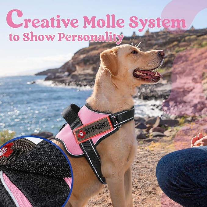rabbitgoo No Pull No Choke Pet Vest, Adjustable Pet Harness with Molle | Large Sized Dog Harness, Reflective, Easy Wearing with One Buckle for Walking, Training, Pink, L - Image 4