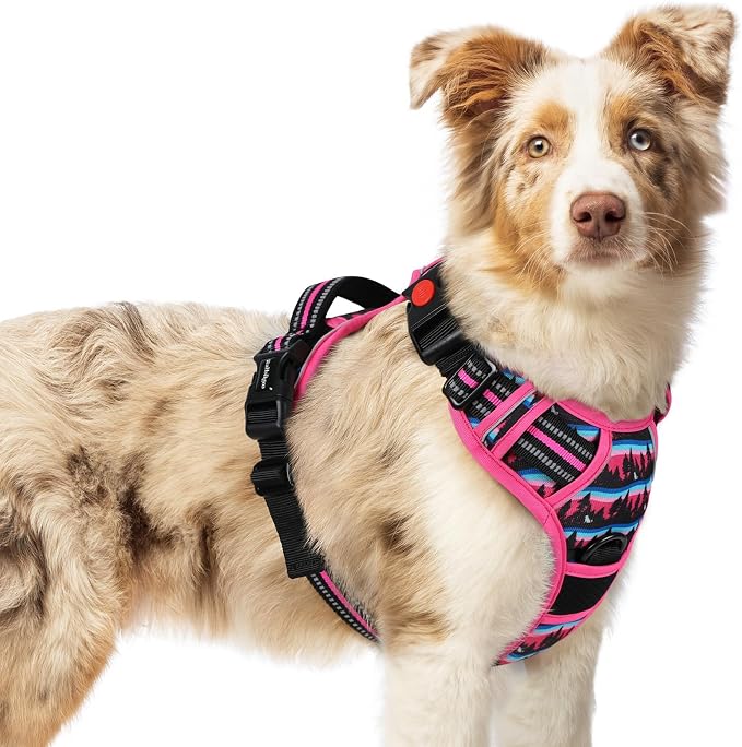 rabbitgoo Dog Harness Medium Sized, Updated Easy On & Off with 3 Buckles | No Pull No Choke, Walking with 2 Clips and Handle, Adjustable Soft Reflective, Mountain Rose, Medium by rabbitgoo