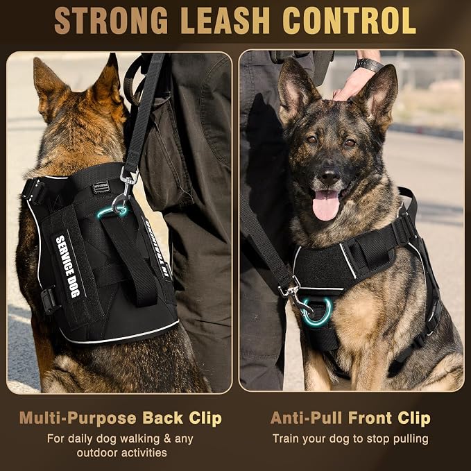 2X Metal Buckle Service Working MOLLE Dog Vest with 10 Pet Patches | Tactical Dog Harness for Large Dog, No-pull Military Working Vest for Training Hunting Walking，2x D Rings for Leash Clip - Image 3