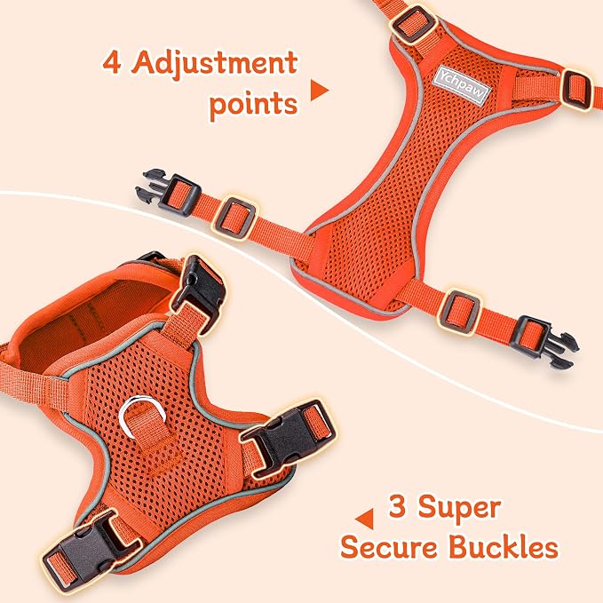 Small Dog Harness and Leash Set, Adjustable Small Sized Pet Vest | Reflective Soft Breathable Mesh, 3 Buckles, Adjustable Neck and Chest, Easy on and Comfortable Secure Walking, Orange, M - Image 3
