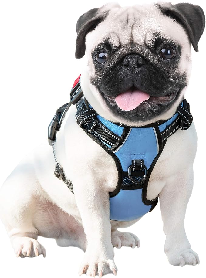 No Pull Dog Harness Reflective Adjustable Vest with Training Handle | Name ID Pocket, 2 Metal Leash Hooks, 3 Snap Buckles [Easy to Put on & Take Off](XS, Baby Blue) - Image 6