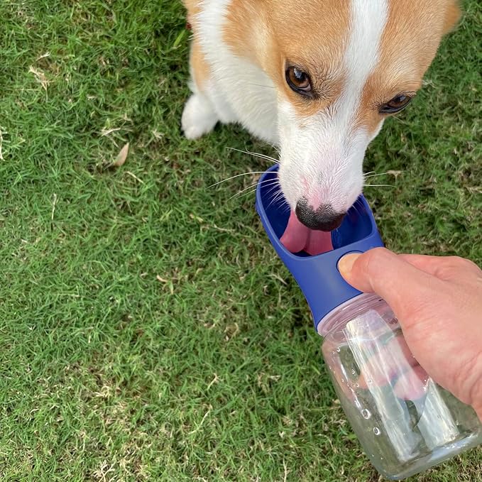 WePet Portable Dog Water Bottle, 19 OZ, Leak Proof Puppy Water Dispenser with Drinking Feeder for Pets Outdoor Walking, Hiking, Travel, Food Grade Plastic - Image 3