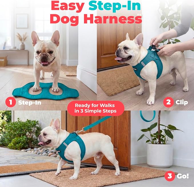 Voyager Step-in Air Dog Vest Harness - Turquoise, Medium | 16 - 18" in Chest, Reflective Bands, All Weather Breathable Air Mesh, Cats Compatible, Lightweight, Fast Drying - Image 3