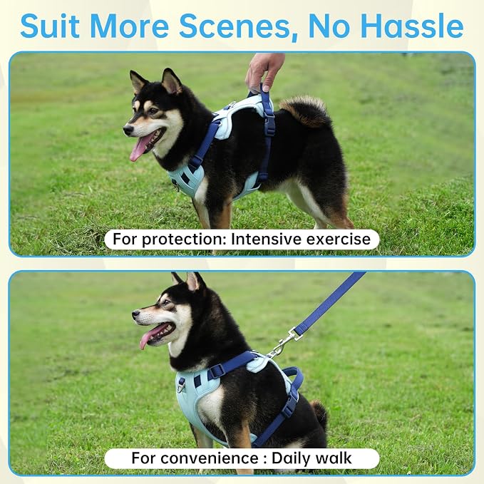 Dog Harness and Leash Set with Collar, No Pull Reflective Pet Vest Harness with Control Handle for Medium Large Dogs Walking and Training - Image 7