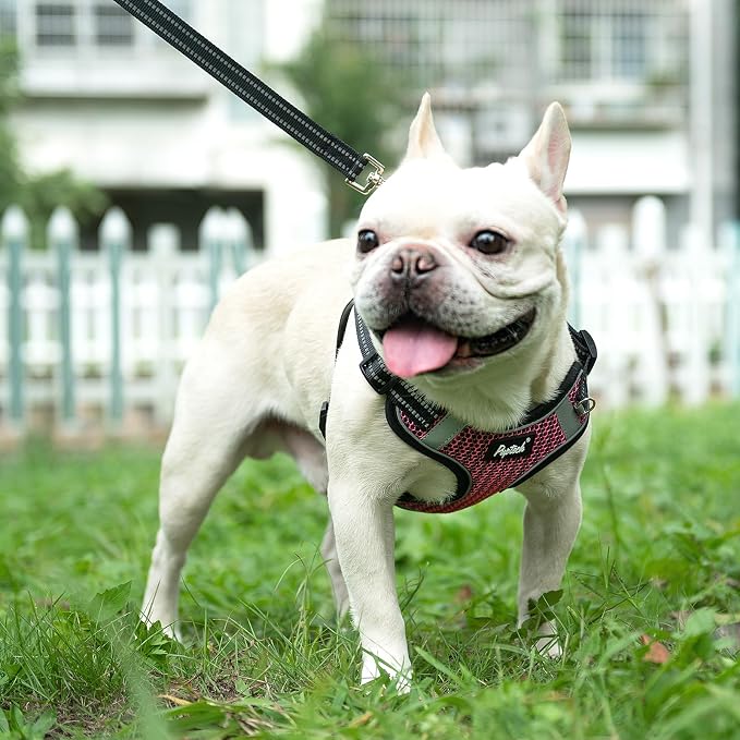 PUPTECK Dog Harness and Leash Set Small Sized, Step in No Pull Adjustable Puppy Cat Harness Reflective Pet Vest - Image 5