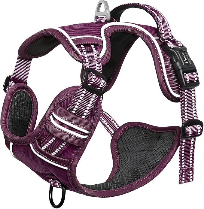 HEELE Dog Harness for Medium Dogs No Pull Dog Vest Harness with Soft Padded Handle Reflective for Outdoor Training, Purple(Matching Trim), M | Soft Breathable Padded for Medium Harness, No Pull No Choke, Adjustable 2 Metal Rings for Outdoor Walking Tra... - Image 6