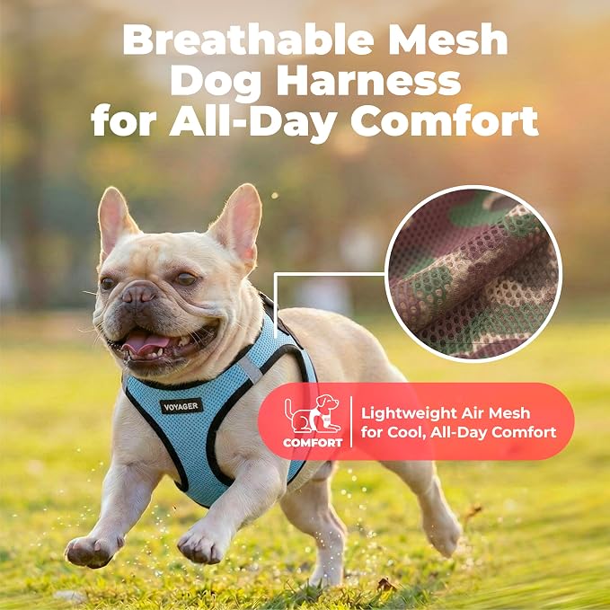 Voyager Step-in Air Dog Vest Harness - Baby Blue/Black Trim, Small | 14.5-16" in Chest, Reflective Bands, All Weather Breathable Air Mesh, Cats Compatible, Lightweight, Fast Drying - Image 5