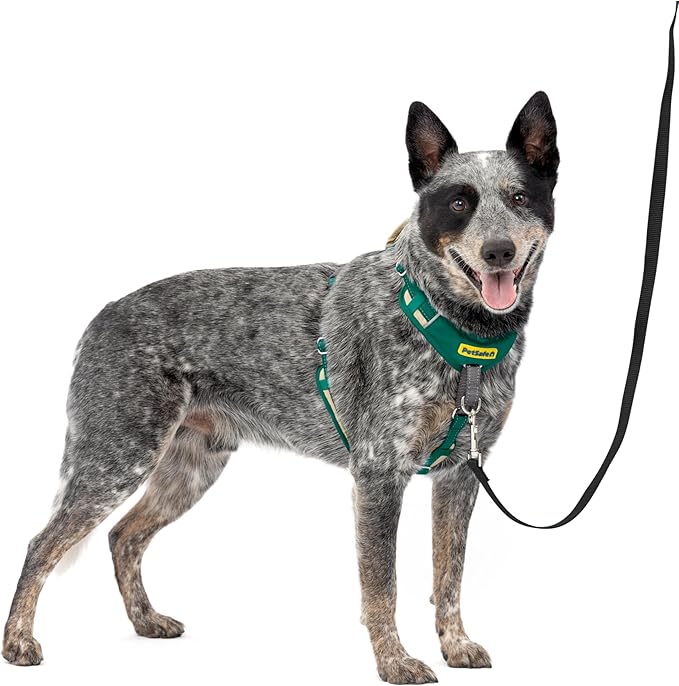 PetSafe Easy Walk Comfort No Pull Dog Harness, Green, Medium | Stops Pulling on First Use with Front Martingale Loop, Full-Body Padding, 5-Point Adjustable Fit by PetSafe