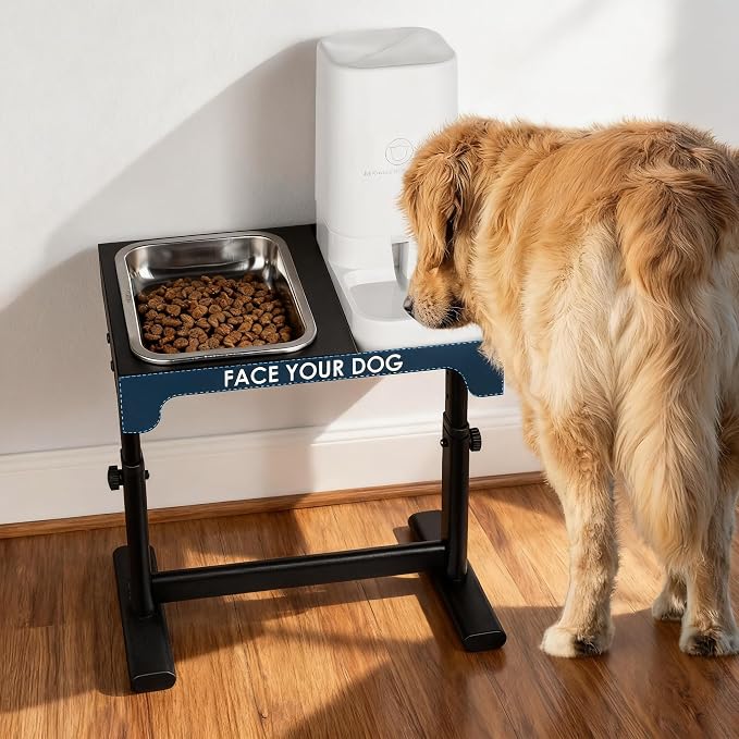 Elevated Dog Bowls with Water Dispenser and 304 Stainless Steel Bowl, Adjustable to 6 Heights, 2.75" to 14.6", Raised Dog Food Bowls for Small, Medium & Large Sized Dogs, Tilted Angle by CareDear