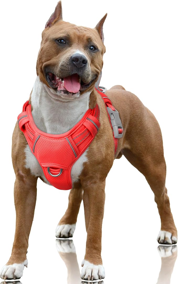 BARKBAY No Pull Dog Harness Large Reflective Dog Harness with Front Clip and Easy Control Handle for Walking Training Running with ID tag Pocket(Red,L) by BARKBAY
