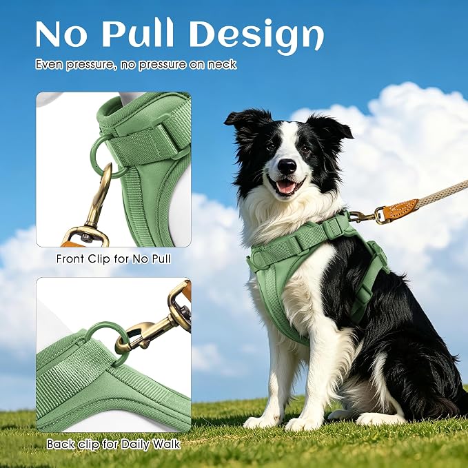 Wisedog No Pull Dog Harness, Sage Green, X-Small | Lightweight, Adjustable Breathable Pet Vest, Soft & Comfortable Cushion, Small Medium Large Dogs - Image 4