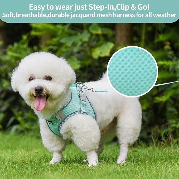 Dog Harness and Leash Set with Breathable Mesh, Turquoise M | No Pull Step-in Vest, Reflective & Escape-Proof Design with High-Stick Magic Tape, Indoor/Outdoor Use for Teddy, Schnauzer - Image 6