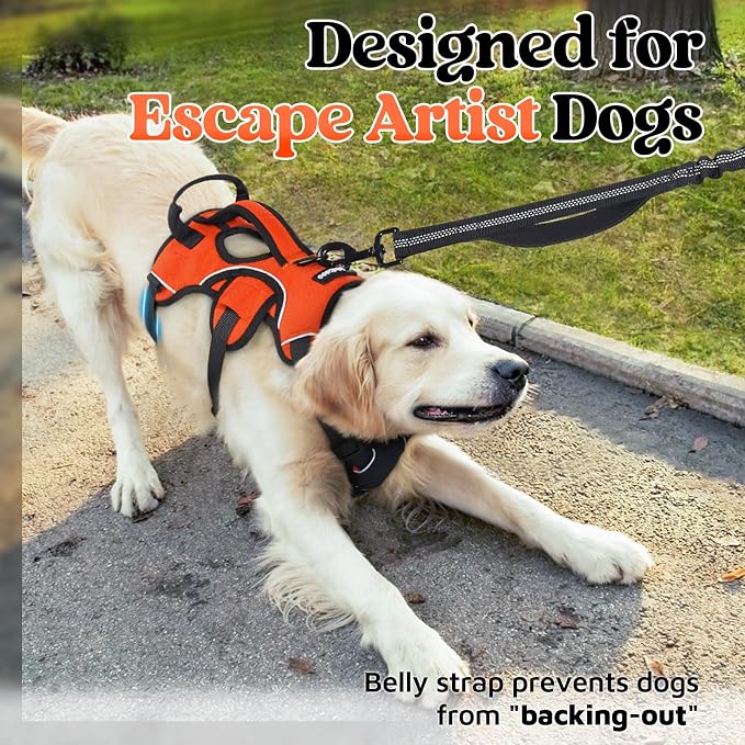 rabbitgoo Escape Proof Dog Harness for Large, No Pull with Lift Handle | No Escape, Full Soft Padded, Reflective Adjustable Vest, Leash Clip for Walking Hiking Training, Orange, Large - Image 2