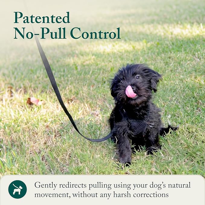 Sporn No Pull Dog Harness, Durable Nylon Mesh Harness for Small Dogs, No Choke Design, Padded Restraint Sleeves, Adjustable Fit, Easy On/Off, XS for Extra Small Breeds, Black - Image 6