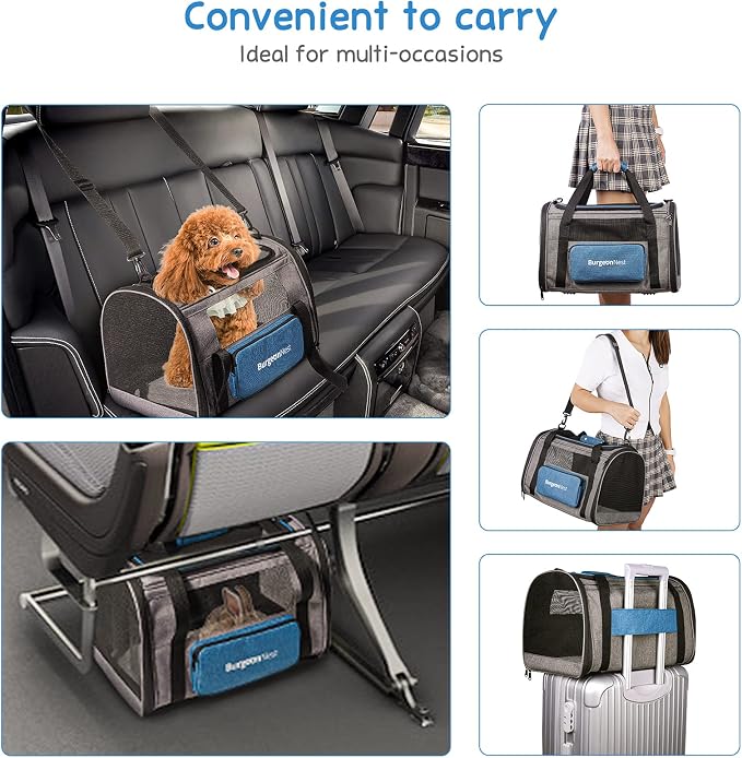 Cat Carrier for Cats up to 20 Lbs, Soft-Sided Escape Proof | Top Load Pet Crate for Medium to Big Kitten Small Puppy Transport with Unique Side Bag, Home Outdoor Car Travel, Medium Blue - Image 7