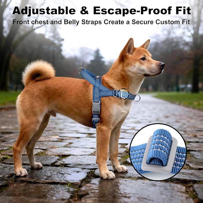 No Pull Dog Harness with Handle, Adjustable Soft Mesh Padded Vest | Reflective Walking Harness with Front Clip for Small Medium Large Dogs, Quick Fit No Escape for Training, Blue, L - Image 5