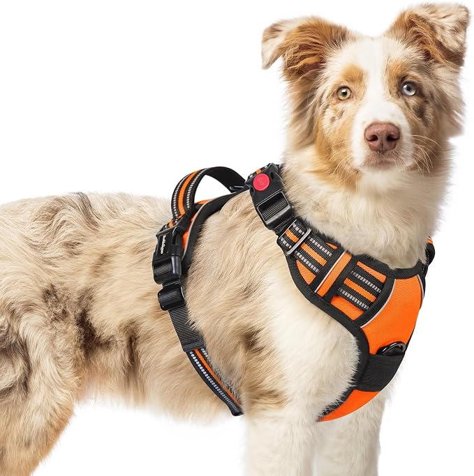 rabbitgoo Dog Harness Medium Sized, Updated Easy On & Off with 3 Buckles | No Pull No Choke, Walking with 2 Clips and Handle, Adjustable Soft Reflective, Orange, Medium by rabbitgoo